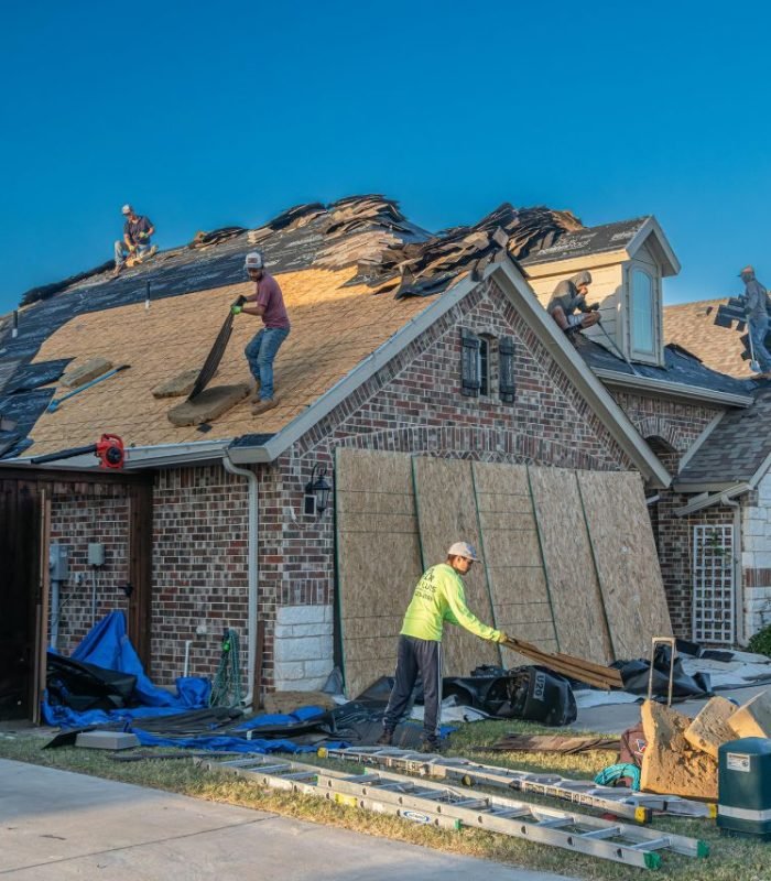 Untitled design (12)